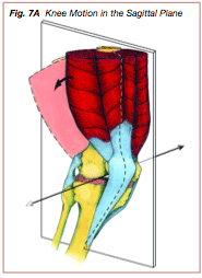 IBFS7A