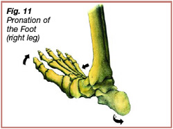 achilles11