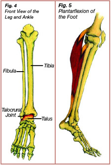 achilles4_5