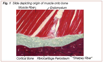 figure1