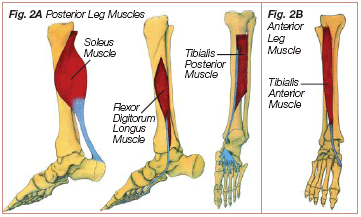 figure2