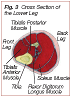 figure3