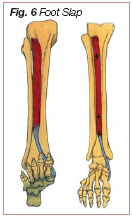 figure6